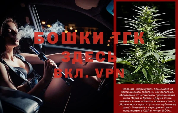 стафф Магадан