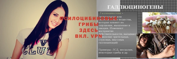 тгк Майский