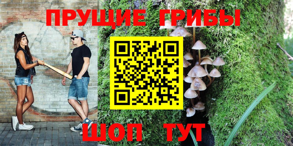 Галлюциногенные грибы Magic Shrooms  Вход с VPN  Находка 
