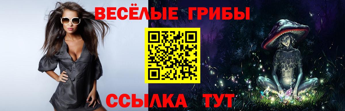 Псилоцибиновые грибы Cubensis Находка